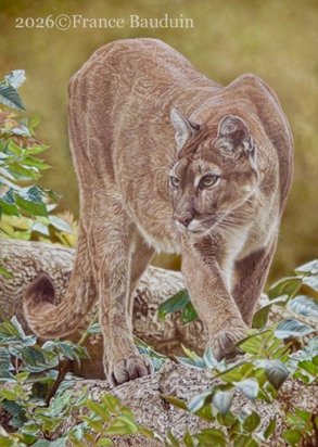 Quiet Purpose 208 hours 
Brown Pastelmat Board
27" x 19"
Ref.: Anne No&euml;l